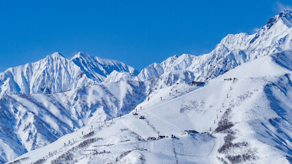 Obraz premium 快晴の空に映える冠雪の北アルプス 長野県白馬村