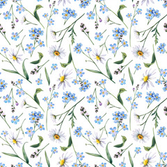 Wildflowers: chamomile and forget-me-nots on a white background. A seamless pattern of daisy flowers.. Hand-drawn botanical watercolor illustration. A clipart for printing on fabric