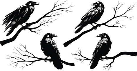 Fototapeta premium Four black ravens perched on bare branches in a stark graphic black and white art