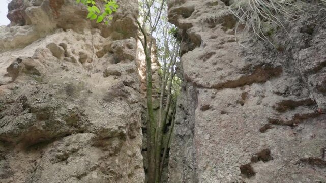 Slow camera tilt upwards inside a narrow rocky canyon showing trees and the sky above, natural park los estoraques, colombia