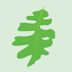 Realistic Leaf Vector Line Art – Botanical, Nature, Eco-Friendly Illustration