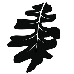 Realistic Leaf Vector Line Art – Botanical, Nature, Eco-Friendly Illustration