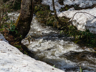 雪解けの川　