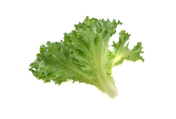 Fresh Frillice Iceberg Lettuce isolated on  white background.