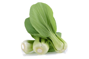 Bok choy vegetable on white background