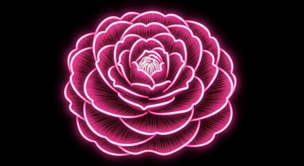 Neon Glowing Camellia Flower with Symmetrical Neon Pink and White Glow