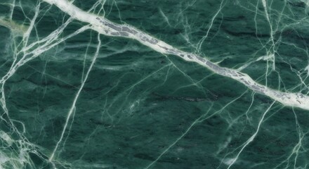 Fototapeta premium Dark green marble with white veining closeup