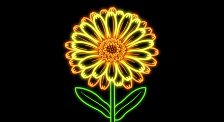Neon Glowing Calendula Officinalis Flower with Symmetrical Neon Yellow Glow