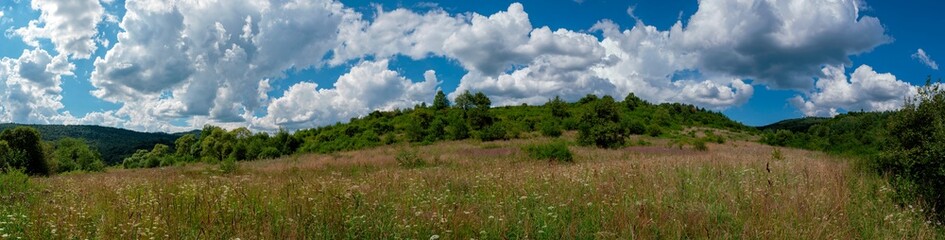 A panorama of a house in the mountains, a view of a summer forest and meadow, a blue sky with clouds.