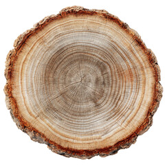 Fototapeta premium Capture the essence of time with this stunning log slice, perfect for adding rustic charm and natural beauty to your designs and projects