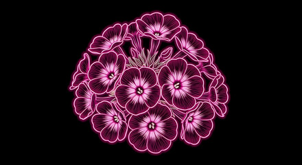 Neon Glowing Garden Phlox Flower with Clustered Neon Pink Glow