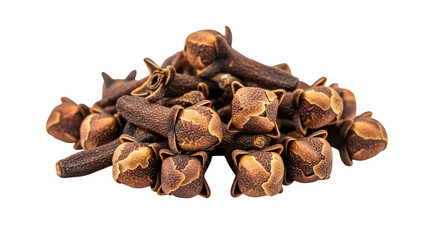Obraz premium Dried Cloves Spice Macro Shot