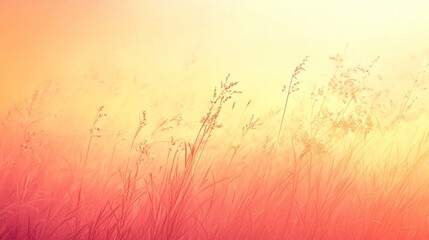 Obraz premium A soft gradient background transitioning from deep coral to warm yellow, giving the appearance of a rising sun or a soft summer breeze, creating a soothing and calming effect