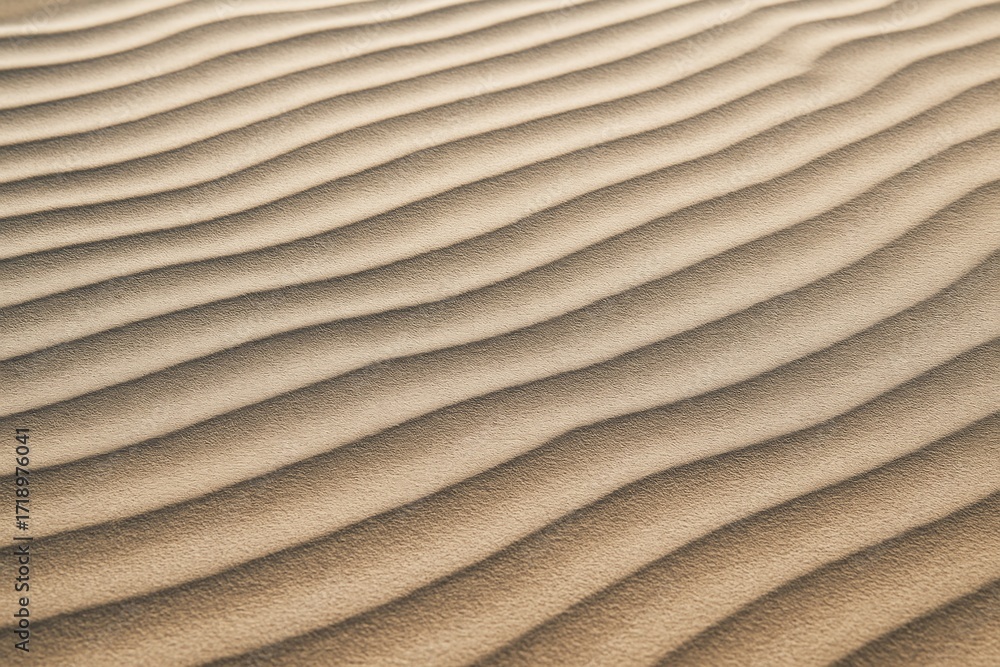 Poster wavy desert sand texture with soft natural light casting shadows and highlights, forming a minimal a