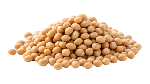 Pile of soybeans, a nutritious legume rich in protein and essential nutrients, isolated on transparent background