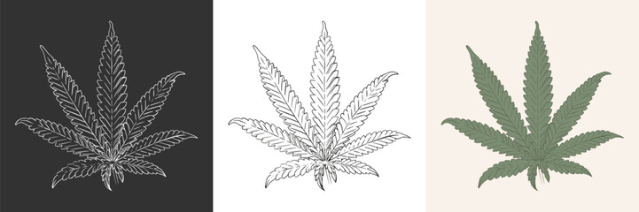 Cannabis vintage icon. Sketch style black, white and colorful leaf weed marijuana