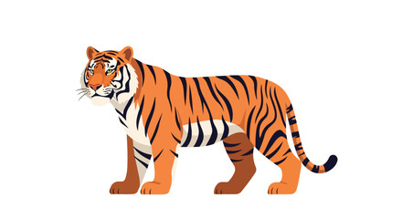 Fototapeta premium Stylized Bengal tiger illustration standing on a plain white background for design or education purposes