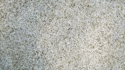 Abstract Gray Concrete Wall with Rough Textured Surface