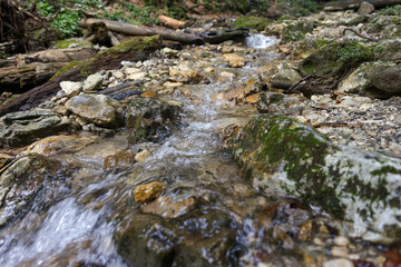 Mountain stream with clear cool water in the Carpathian Mountains, Romania
