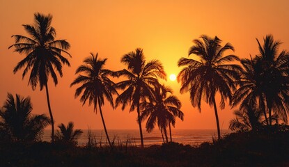 Fototapeta premium Silhouettes of palm trees at sunset over ocean