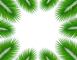 Tropical palm leaves frame a dark center (5)