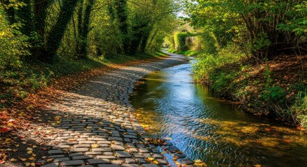 Cobblestone Path Beside Stream with Autumn Leaves and Lush Greenery