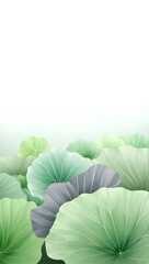 Green cabbage leaf in the sun in the field