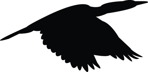 Flying Anhinga bird Silhouette Design And Vector Illustration. 