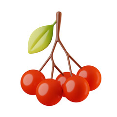 3d render Rowan isolated on white background. Collection of minimalist glossy plastic 3D food illustrations in cartoon style for cooking. Autumn forest element for game design. Hello autumn concept