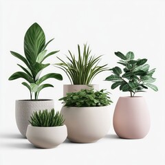 Five potted plants in neutral tones