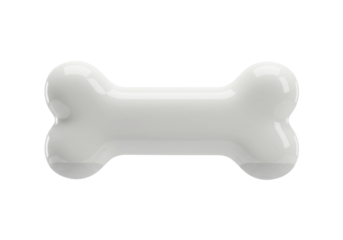 Isolated shiny canine bone, a chew toy for pet dogs or a fossil bone of a prehistoric animal