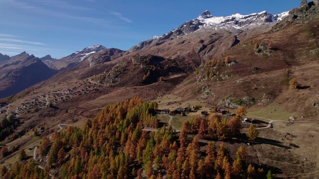 Aerial of conifer trees on a mountain in autumn, L&ouml;tschental, Switzerland