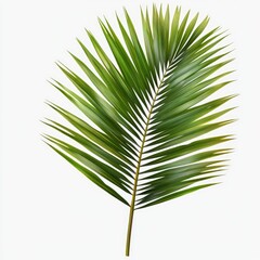 Obraz premium Close-up of a vibrant palm leaf