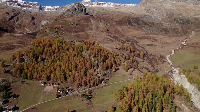 Aerial of a mountain with yellow conifer trees and houses, L&ouml;tschental, Switzerland