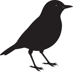  Wild Bird Silhouette Vector Illustration