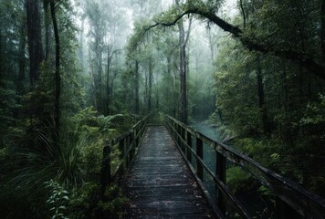 Obraz premium A wooden bridge over a small stream in a dense forest with lush greenery and mist in the air, creating a serene and calming scene