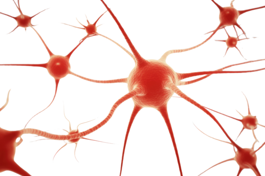Microscopic image of interconnected neurons, showcasing intricate neural network and synapses. background removed
