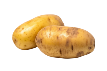 Two raw potatoes, yellowish-brown skin, slightly soiled, isolated on transparent background. background removed