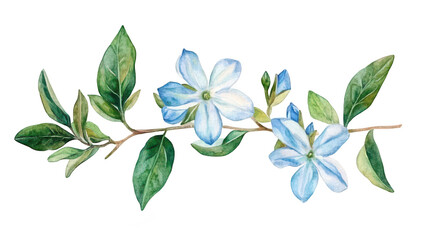 A delicate watercolor illustration of light blue flowers with green leaves. elegantly arranged on a white background. ideal for botanical art. greeting cards. or nature-themed decor