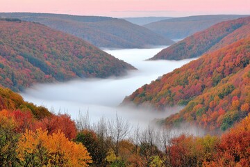 Autumn mist valley, vibrant foliage