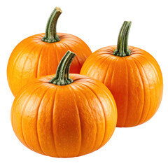 Obraz premium Three vibrant orange pumpkins clustered together, showcasing smooth, ribbed skin and green stems