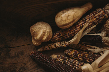 Still Life of Colorful Corn and Gourd