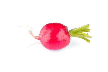 Fresh small red radish on white background