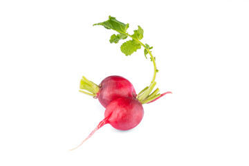 Fresh small red radishes on white background