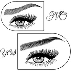 Illustration with woman's eyes, eyelashes and eyebrows. Makeup Look. Tattoo design. Logo for brow bar or lash salon. Wrong and right coloring care. Set of well-groomed and shaggy eyebrows.