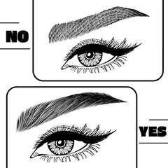 Illustration with woman's eyes, eyelashes and eyebrows. Makeup Look. Tattoo design. Logo for brow bar or lash salon. Wrong and right coloring care. Set of well-groomed and shaggy eyebrows.