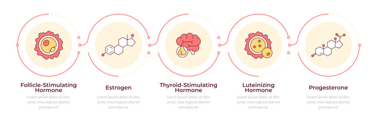 Hormones infographic 5 steps. Women health support. Reproductive system care. Medical diagnistics. Flow chart infochart. Editable vector info graphics icons. Montserrat-SemiBold, Regular fonts used