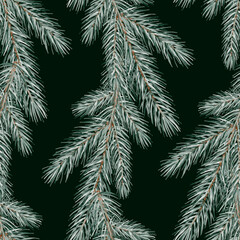 Fototapeta premium Seamless pattern with fir branches