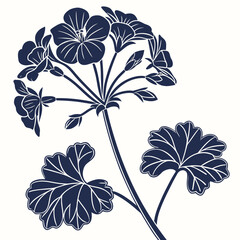geranium vector
