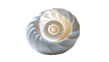 Intricate spiral of a pearly white seashell, radiating light from its center, against a black background